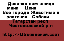 Девочка пом шпица мини  › Цена ­ 30 000 - Все города Животные и растения » Собаки   . Татарстан респ.,Чистопольский р-н